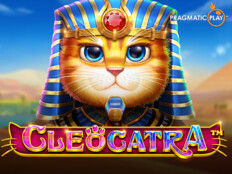 Rüyada çok kedi görmek. Online casino android.94